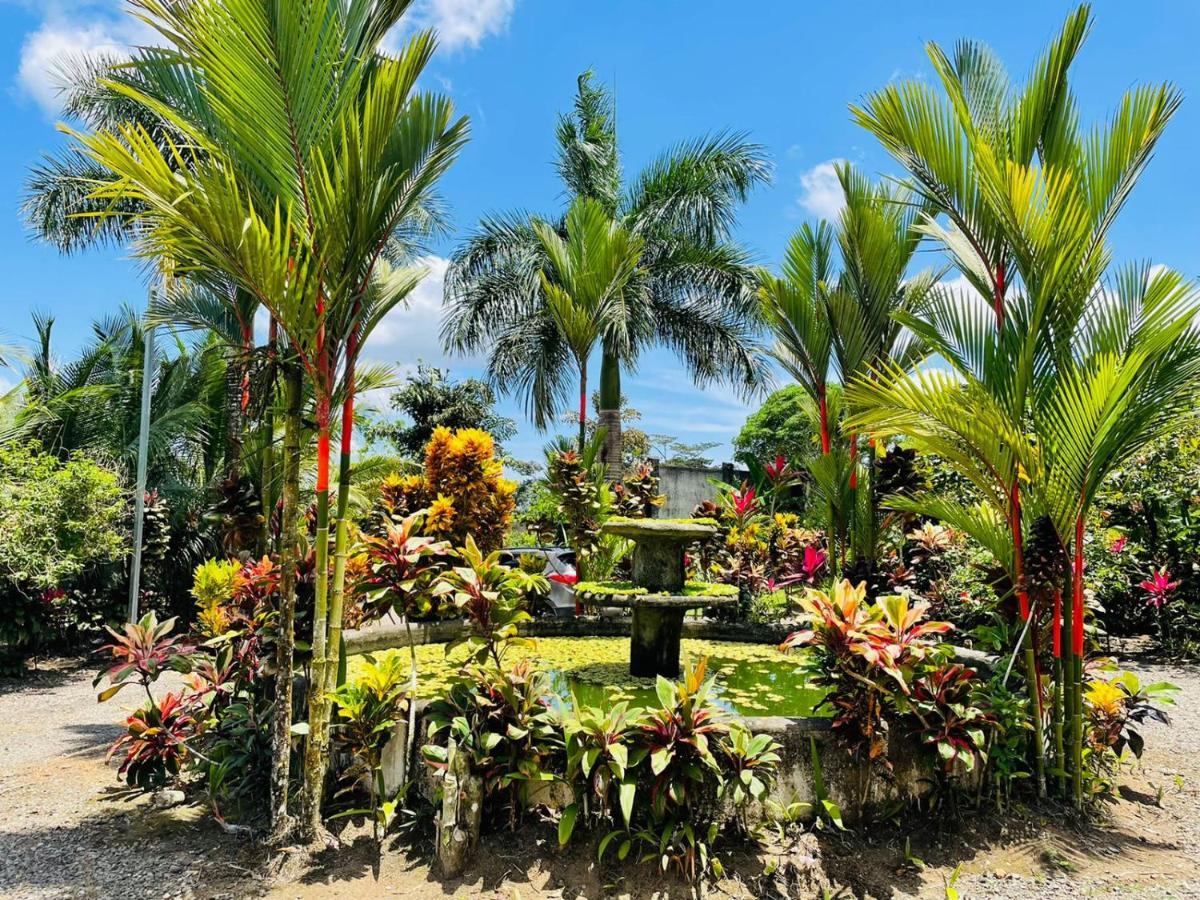 Aunty Arenal Lodge La Fortuna Exterior photo
